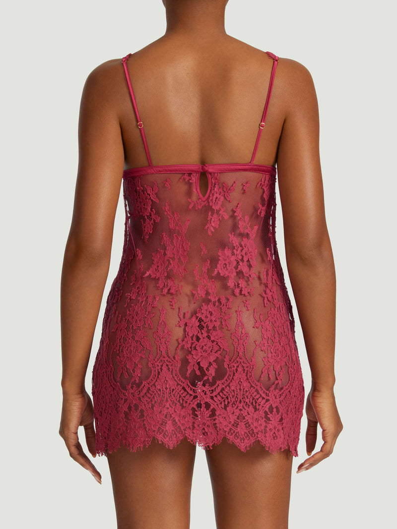 Coco de Mer Zaria Slip